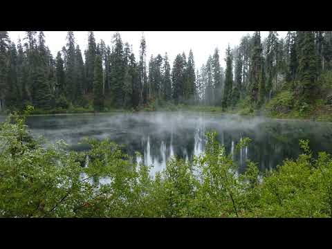 TRUTH ALERT LIVE STREAM 5-11-21 Jerry Decamp Subphotonic