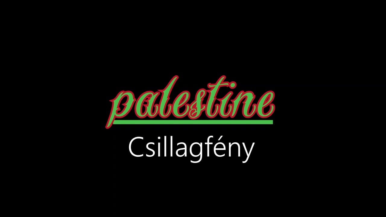 Palestine ¦ Csillagfény (hivatalos audió)