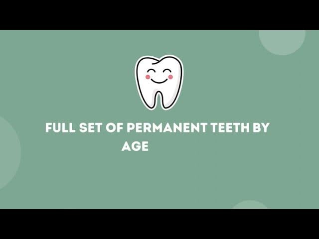 Transitioning from Primary to Permanent Teeth: What to Expect