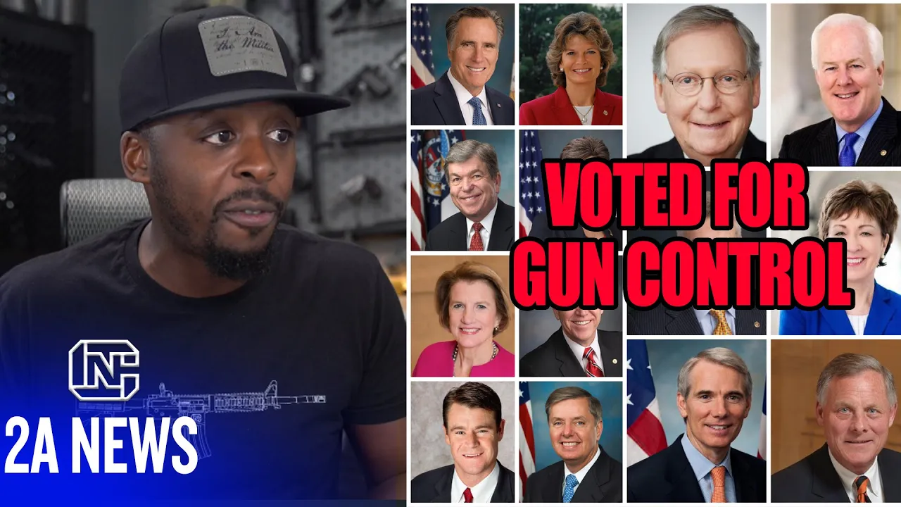 14 Senate Republicans Agreed To Gun Control That We Need To Stop