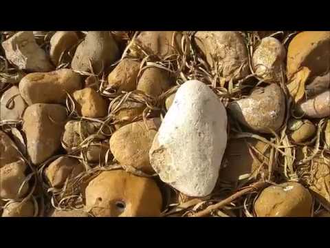 Kick The Big White Rock