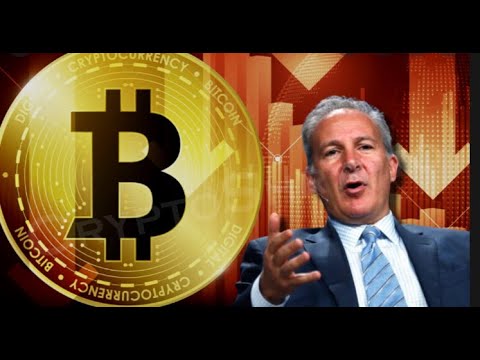 Peter Schiff - Gold vs Bitcoin