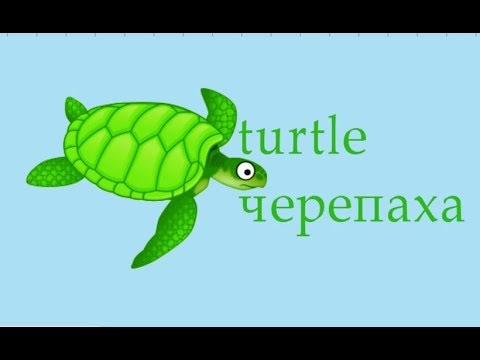 How to draw a turtle, draw animals, #Kids, #YouTubeKids