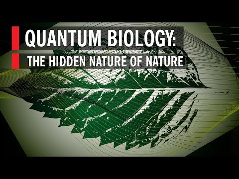 Quantum Biology: The Hidden Nature of Nature