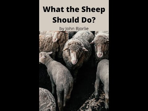What the Sheep Should Do?  by John Bjorlie