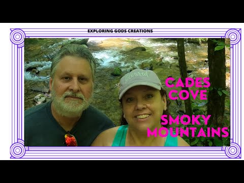 cades cove campground video review,  smoky mountains tennessee scenic drive, bear sighting in smokys