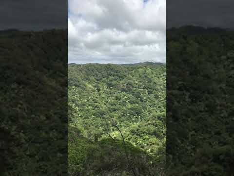 View Over Hawaiian Landscape, Oahu 2018