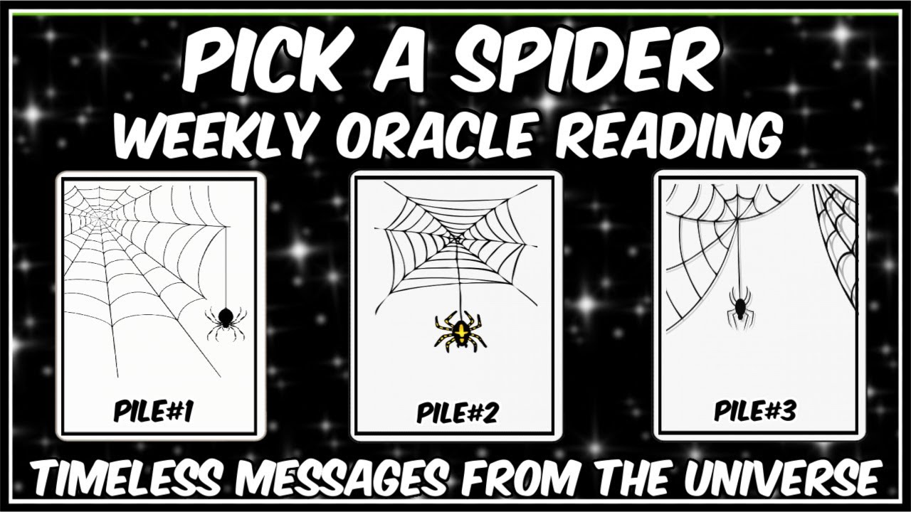 Pick A Spider l Weekly Oracle Reading l Messages From The Universe l Timeless Reading 🕷🕷🕷