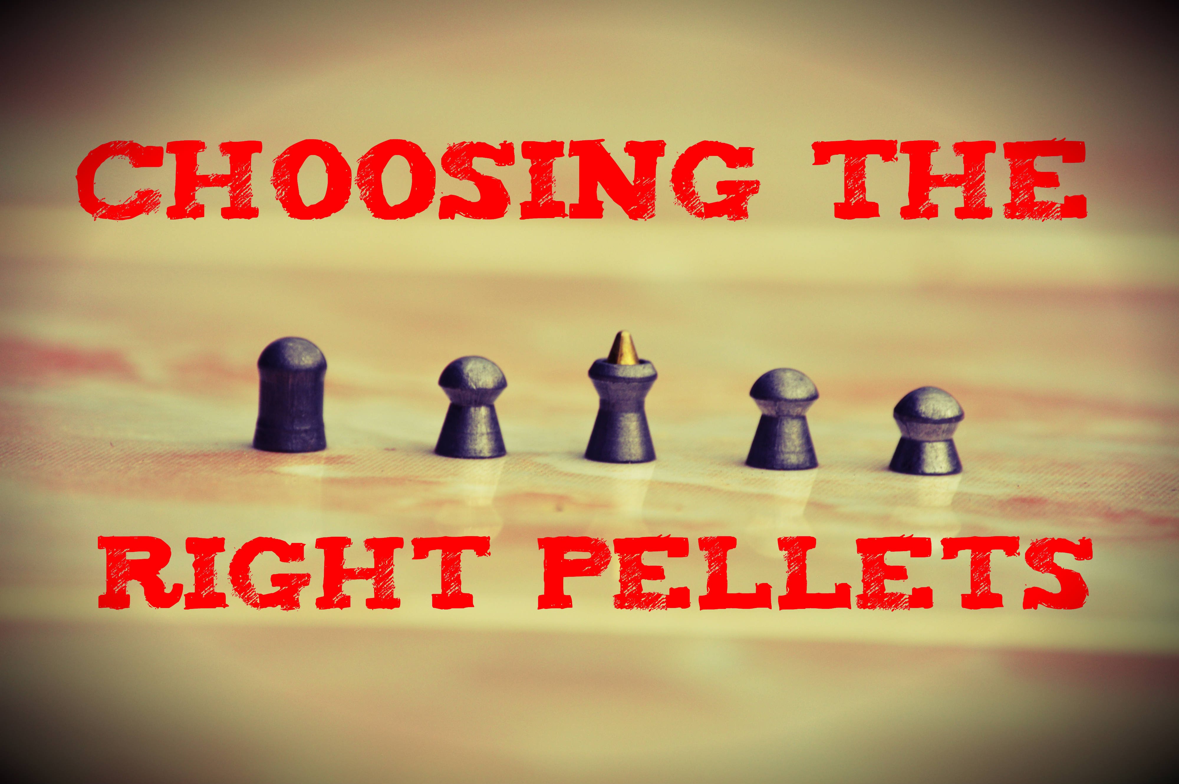 Choosing the right pellets for your air rifle