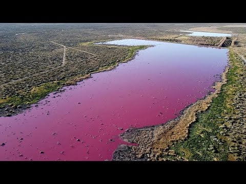 Pollution coloured the water to bright pink in Argentina