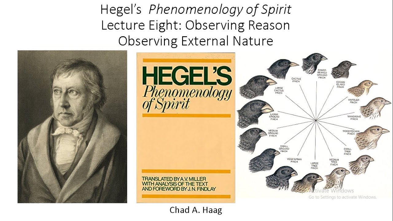 Hegel Phenomenology of Spirit Section 8 Observing Reason Observing External Nature Lecture