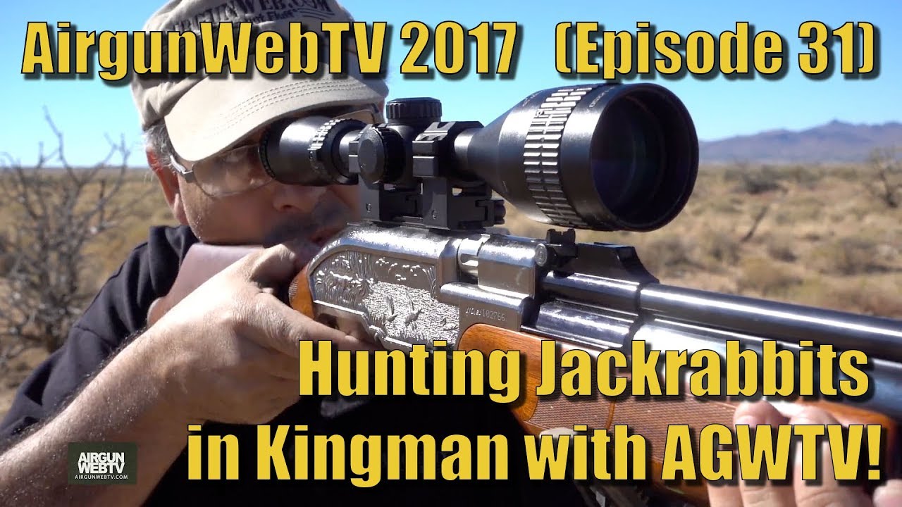 AirgunWebTV 2017 (Episode 31) - Hunting Jackrabbits with the Evanix K550 and Seneca 2500!