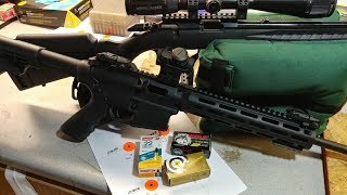 Ruger American Rimfire | S&W MP15-22 Ammo Test
