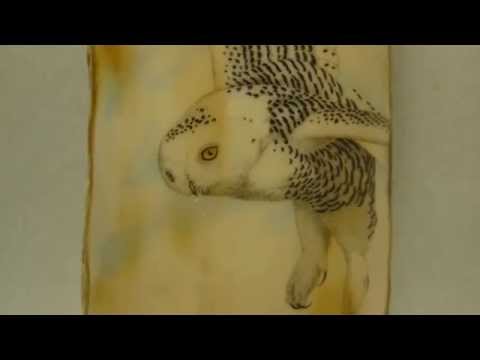 Scrimshaw Showing by Adams - Snowy Owl