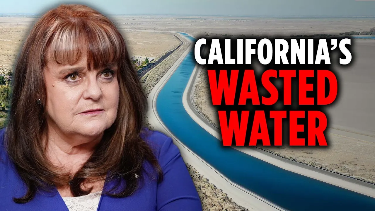 Is California's Water Crisis Man-Made? | Darcy Burke