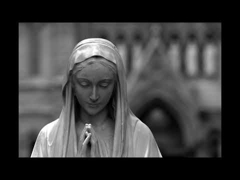 Who is the Immaculate Conception?