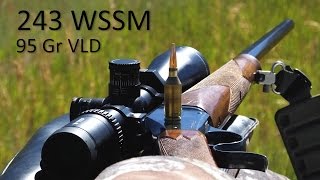673 Wolf Target at Spirit Ridge — 243 WSSM