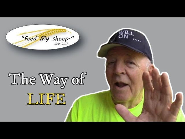 9-9-23 ─ The Way of Life