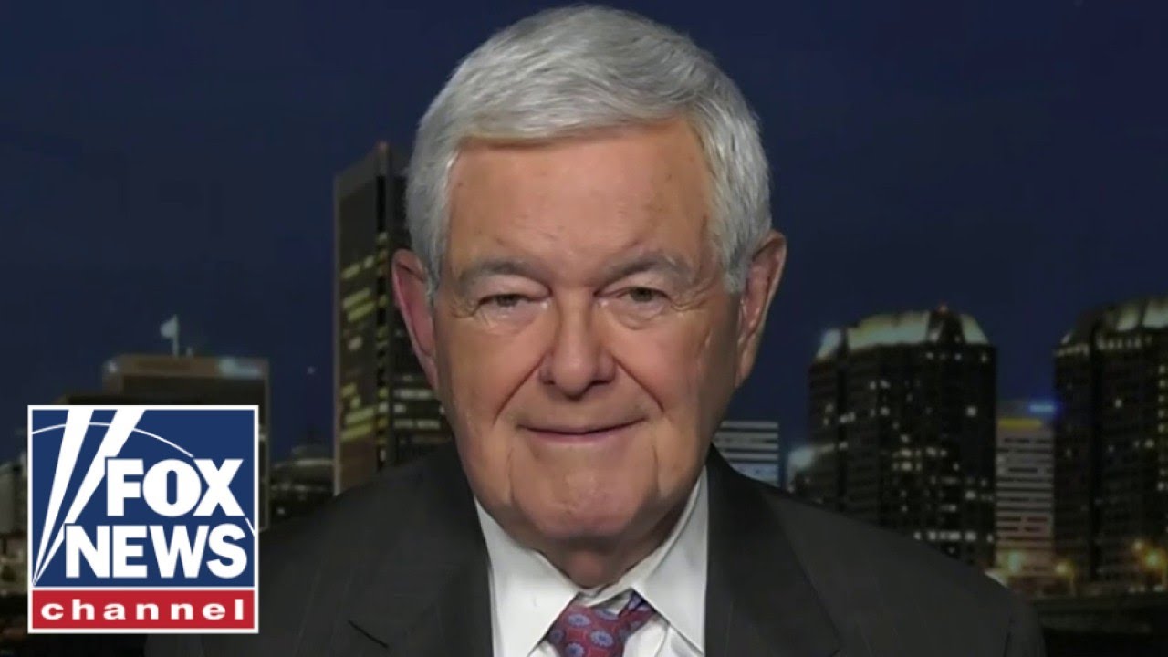 Newt Gingrich: This new Biden campaign push is 'childish'