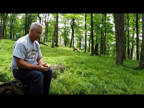 Man Sits Alone In Forest, Suddenly Finds Himself Surrounded By Unexpected Visitors