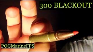Cartridge Consideration - 300 BLACKOUT - AR-15 - aka 7 62x35 Episode ONE