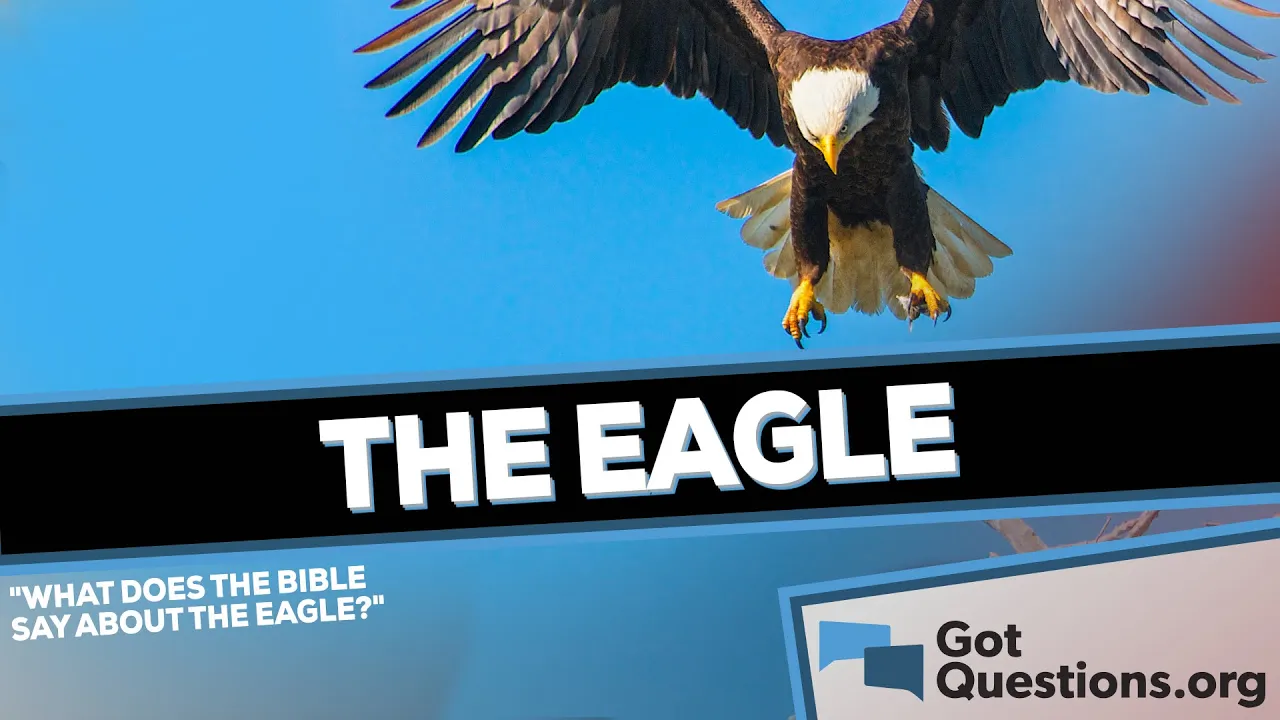 What does the Bible say about the eagle?  |  GotQuestions.org