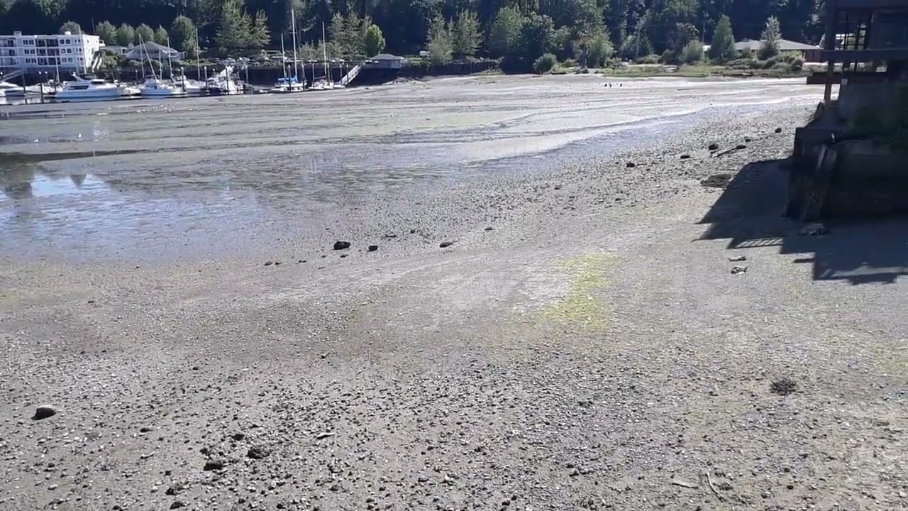 Global Warming, Oceans Rising - See For Yourself . Entertainment . Mount1