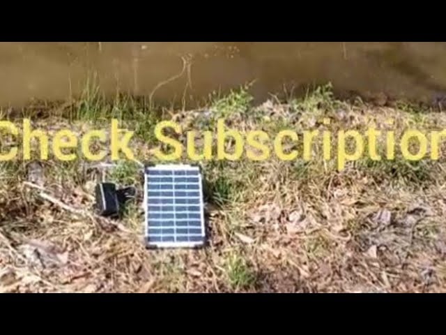 Lewisia 5 watt Solar pond air pump