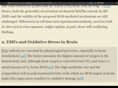 Detailed scientific effects of EMF radiation