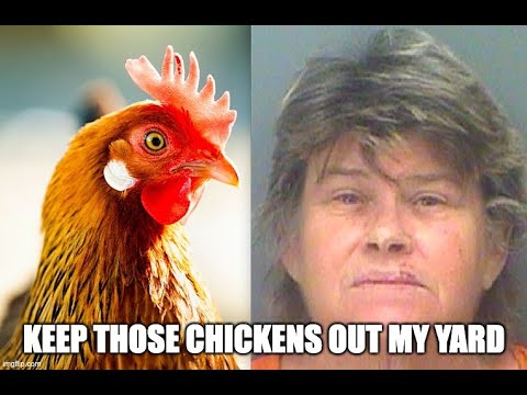 Woman Attacks Man With Urine Because Of His Chickens [The Doctor Of Common Sense]