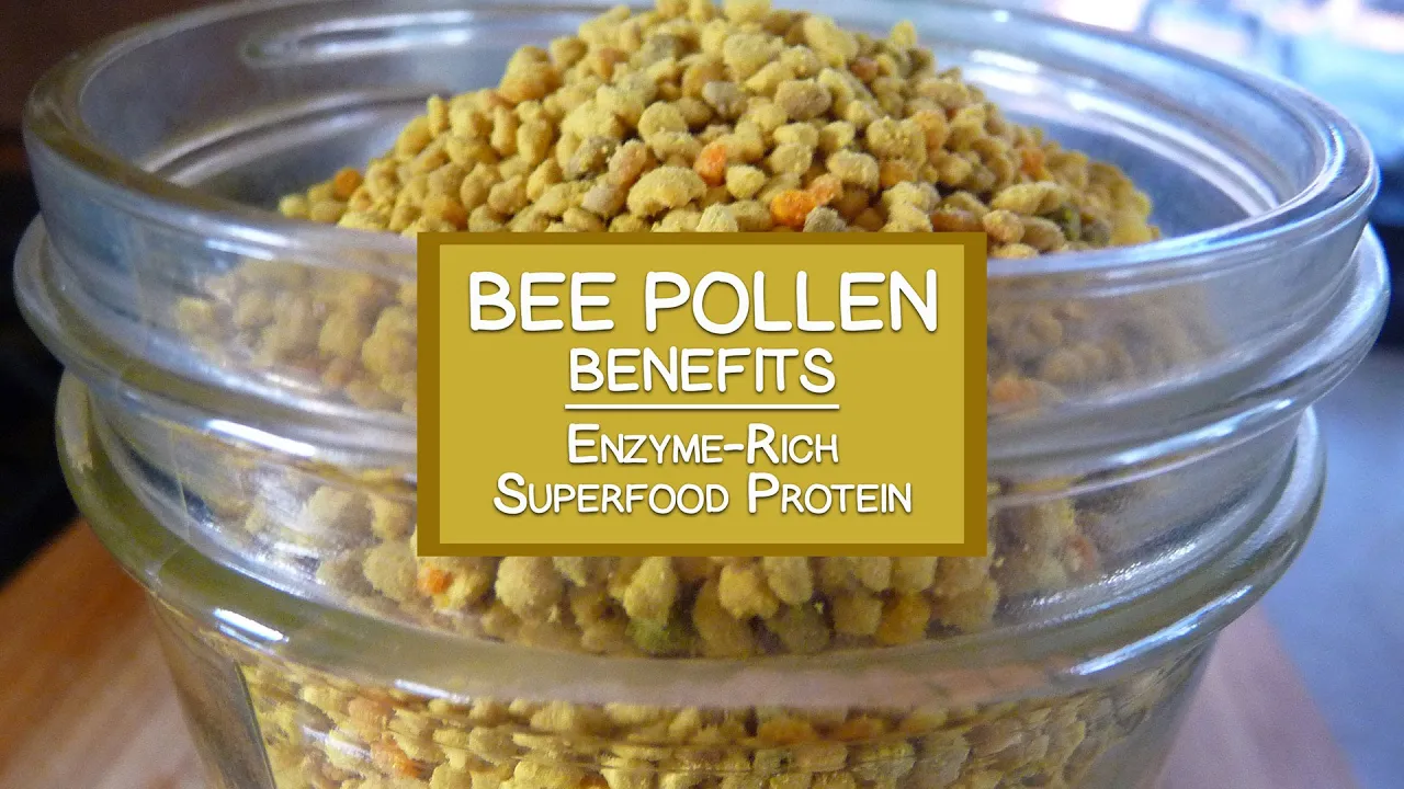 Bee Pollen Benefits as an Enzyme-Rich Superfood Protein Source