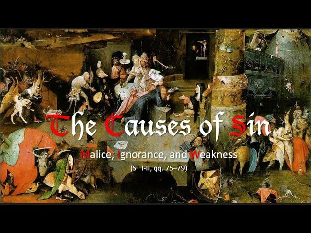 Causes of Sin: Weakness, Ignorance, Malice | Thomas Aquinas