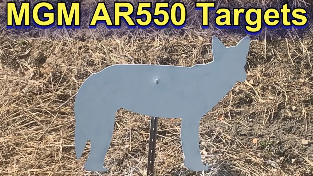 MGM AR550 Coyote Target Review