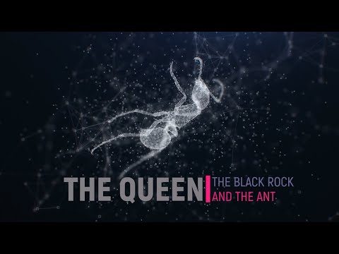 The Queen, the Black Rock and the Ant