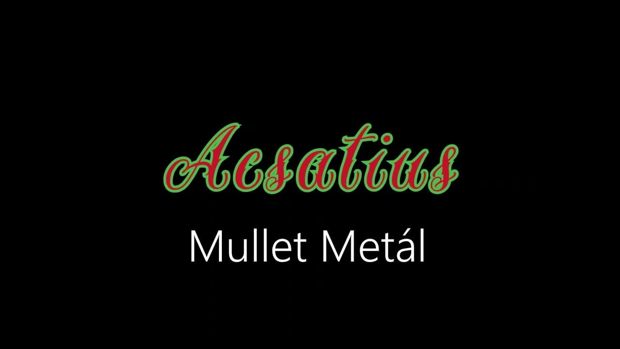 Acsatius ¦ Mullet Metál (officiäl audió)