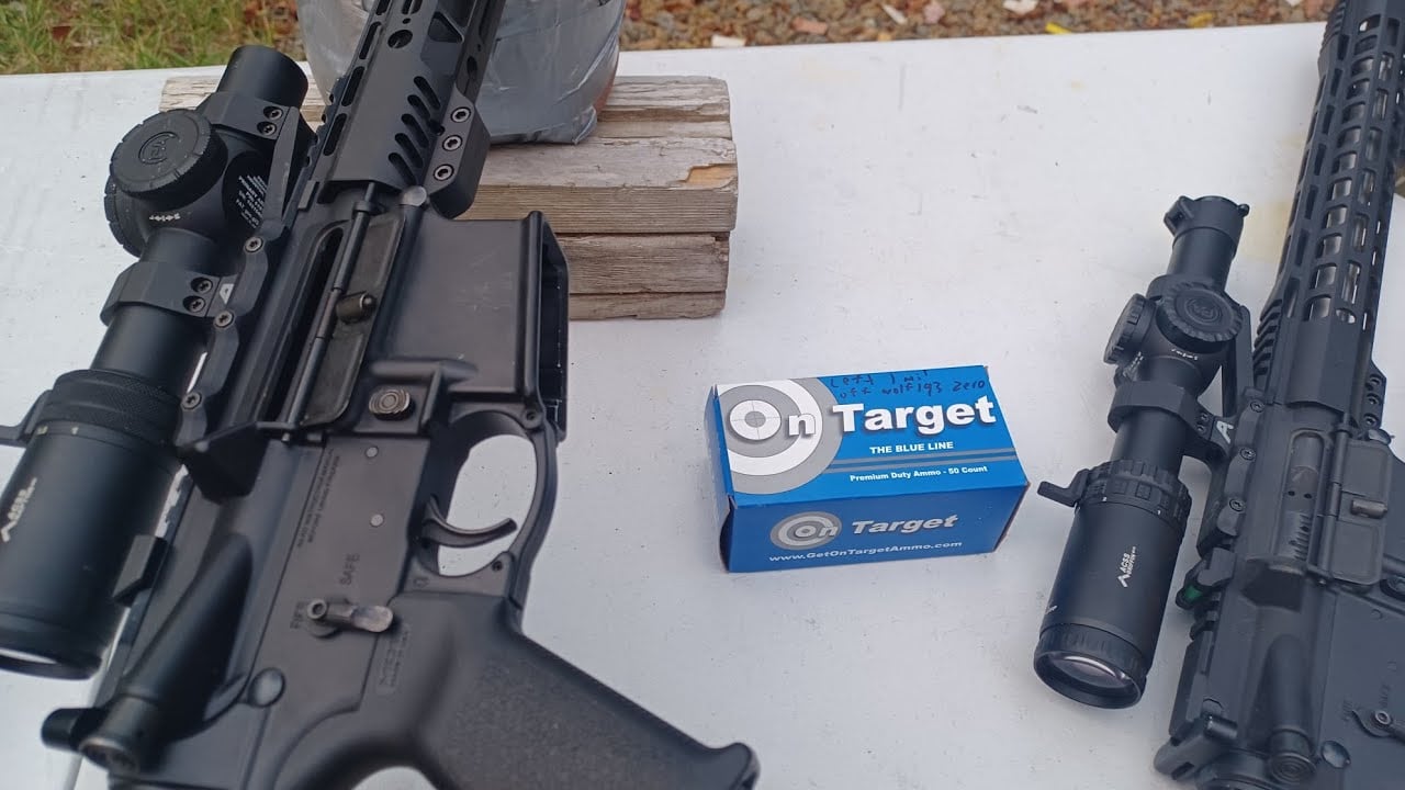 77 gr On Target ammo 223