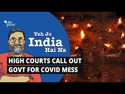 Opinion | Amid COVID Chaos, Look at India’s High Courts Fighting for Our Right To Life | The Quint