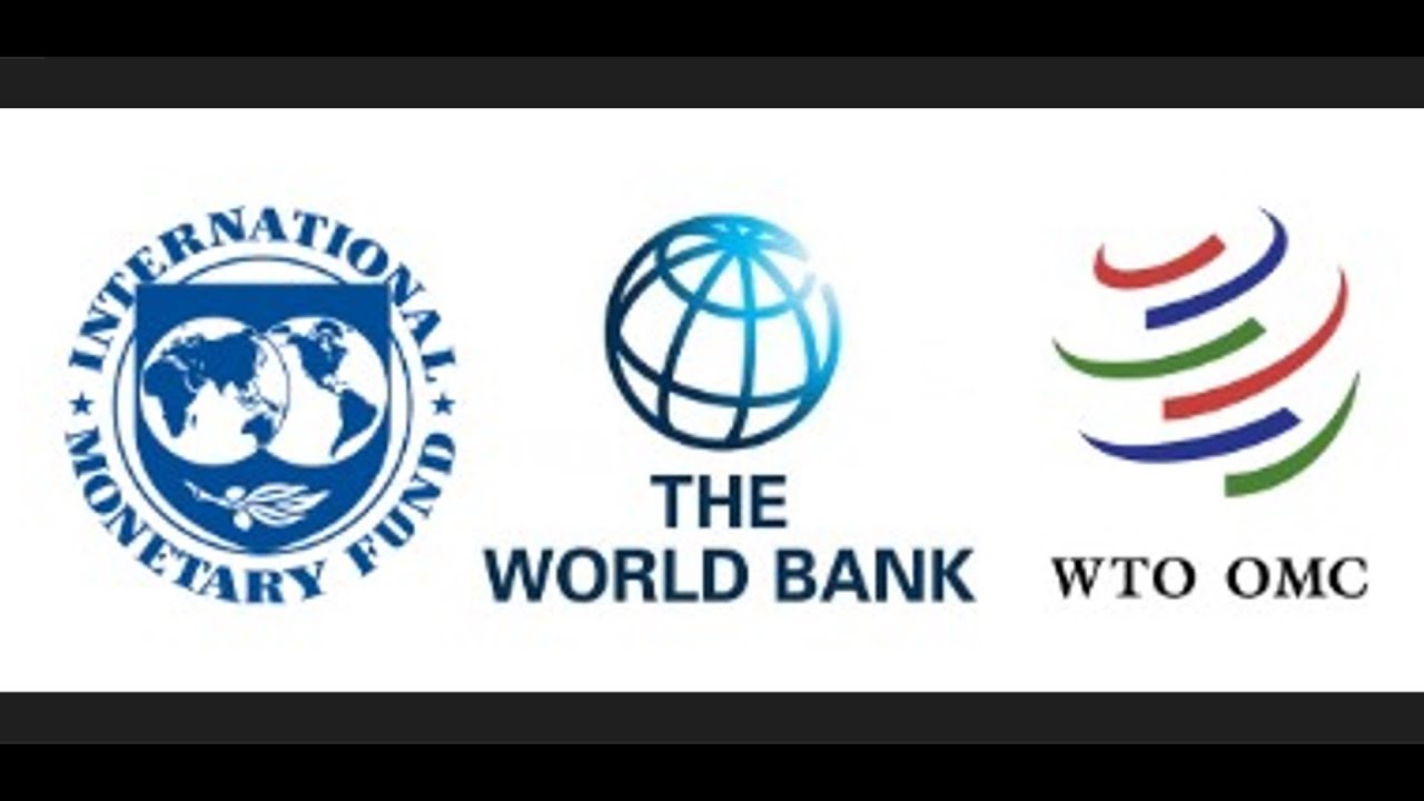 Here's how much dinar the UST IMF WTO and World Bank are holding  04/06/24