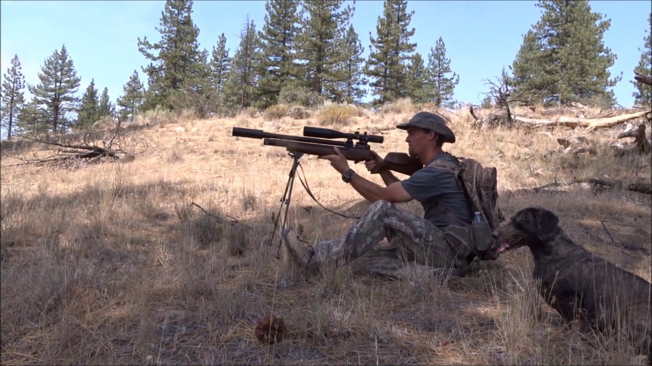 Varmint Hunting With Air Rifles (GRAPHIC HUNTING FILM) 18+
