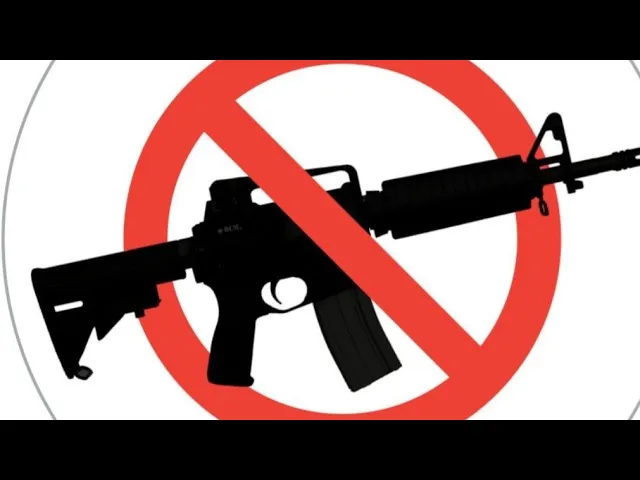 Semi-Auto Ban, Email Your Offcials, Hurry And Buy Guns And Mags Now, Something Will Get Banned.