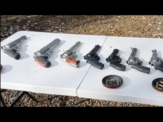 Best Revolver ... bear defense
