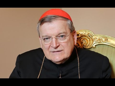 Cardinals Burke, Müller, other high-ranking bishops weigh in on pope's civil union remarks