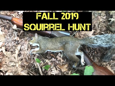 1st Squirrel Hunt Of The 2019 Fall Season