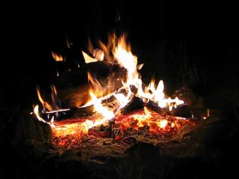 Short video of campfire & night sounds, suitable for looping.