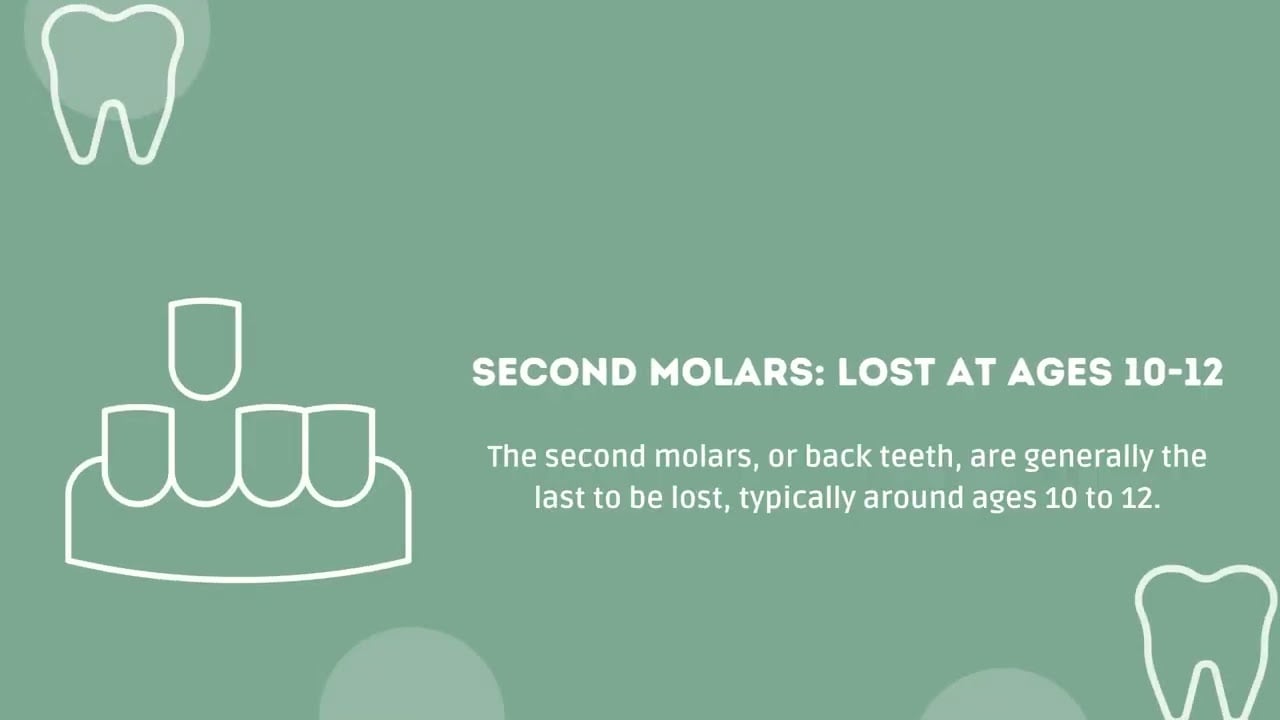 Sequence of Tooth Loss in Children