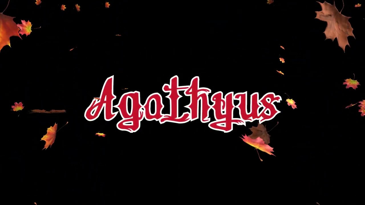 Agathyus ¬ Erdei kiképzés (hivatalos dalszöveges audió)