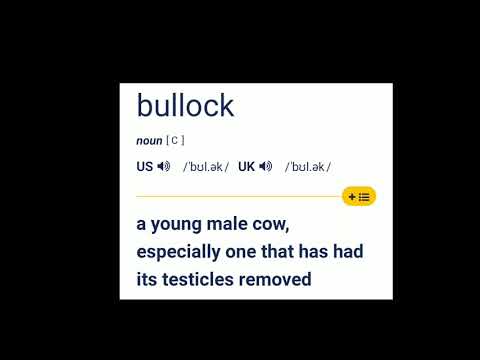 bullock?   More Bollocks