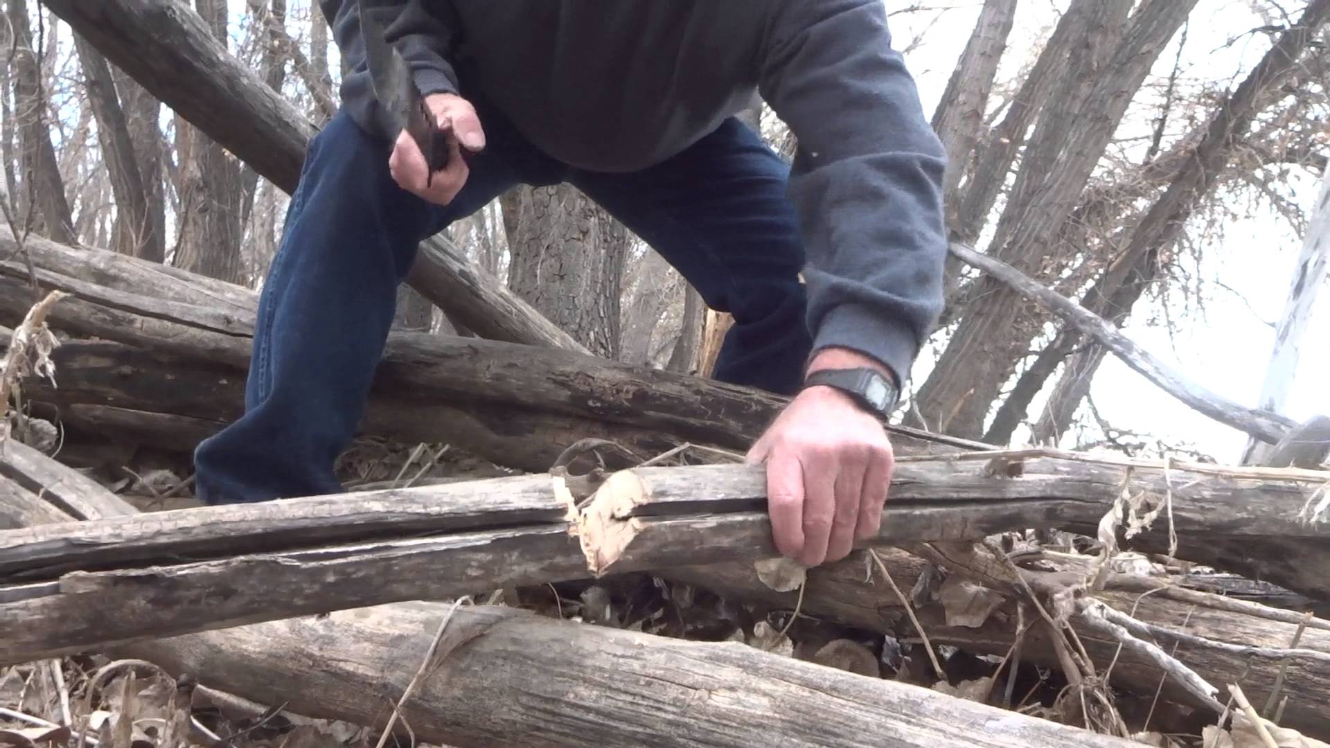 Big Machete Knife Cuts Dry Tree and Stays Razor Sharp