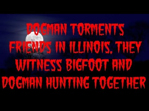 DOGMAN TORMENTS FRIENDS IN ILLINOIS, THEY WITNESS BIGFOOT AND DOGMAN TOGETHER