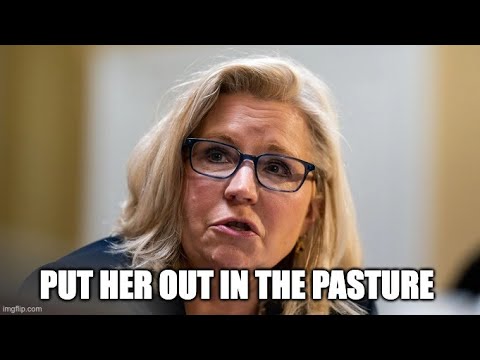 The Doctor Of Common Sense - Liz Cheney Loses Big But Her Husband’s Law Firm Works For Hunter Biden